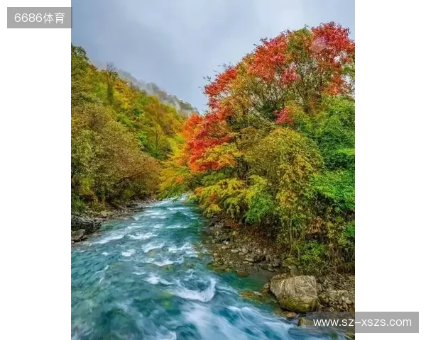 ZywOo、Chovy与f0rsakeN将角逐TGA年度最佳电竞选手称号